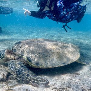 Guide kept trying to get me to make some sort of sign, but I failed