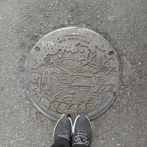 Sun Moon Lake Manhole Cover