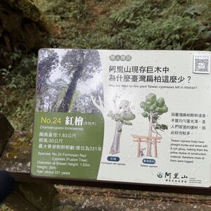 Why it is sometimes better to be gnarly