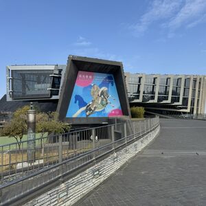 NPMS: approaching the collection