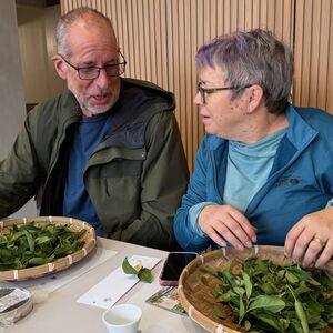 What do you mean, we roll the tea?