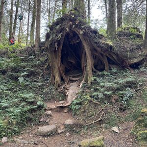 It is a good hideout