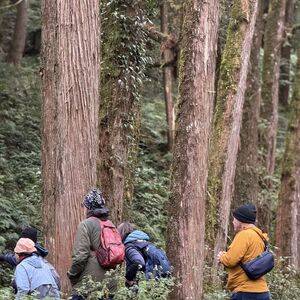 We are colorful undergrowth