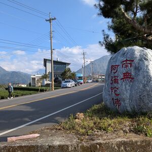 A walk is called for after copious amounts of food and tea